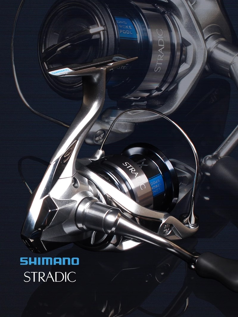 Carrete de Pesca SHIMANO 23 ST - Daiwa Reel Bg reseña y precio